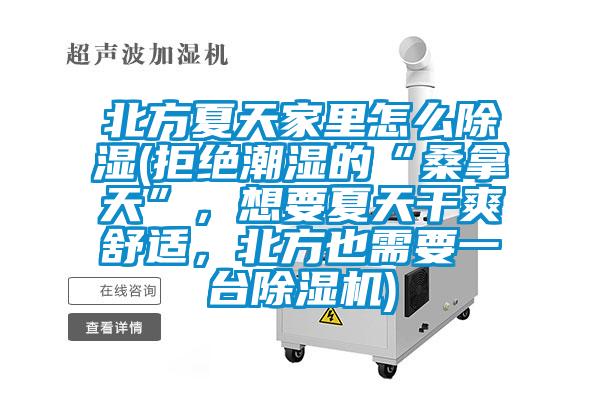 北方夏天家裏怎麽除濕(拒絕潮濕的“桑拿天”，想要夏天幹爽舒適，北方也需要一台91视频链接下载)