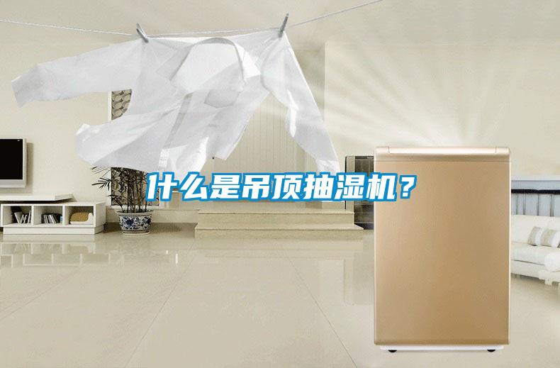 什麽是吊頂抽濕機？