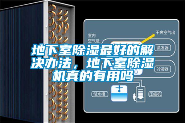 地下室除濕最好的解決辦法，地下室91视频链接下载真的有用嗎