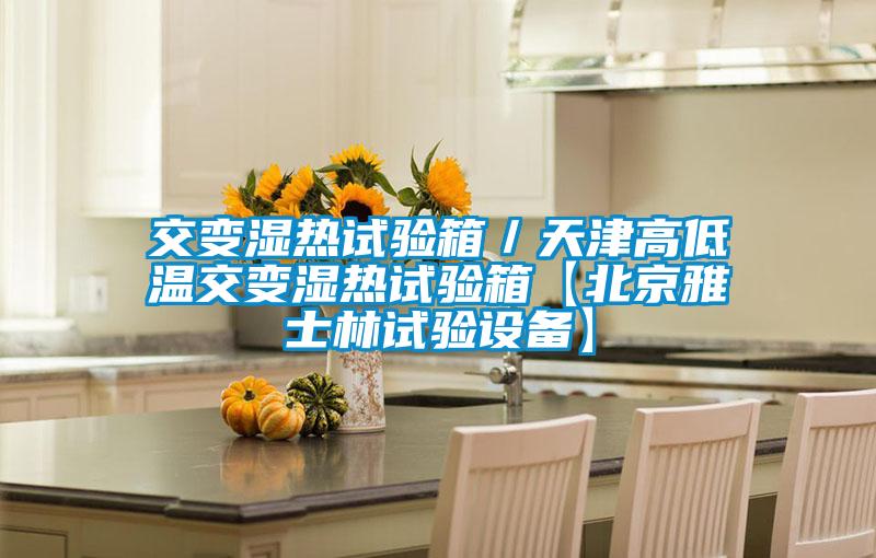 交變濕熱試驗箱／天津高低溫交變濕熱試驗箱【北京雅士林試驗設備】