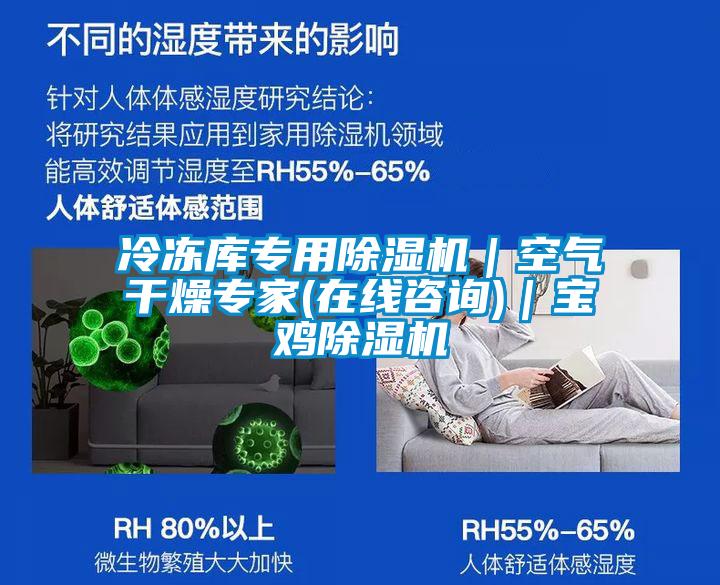 冷凍庫專用91视频链接下载｜空氣幹燥專家(在線谘詢)｜寶雞91视频链接下载