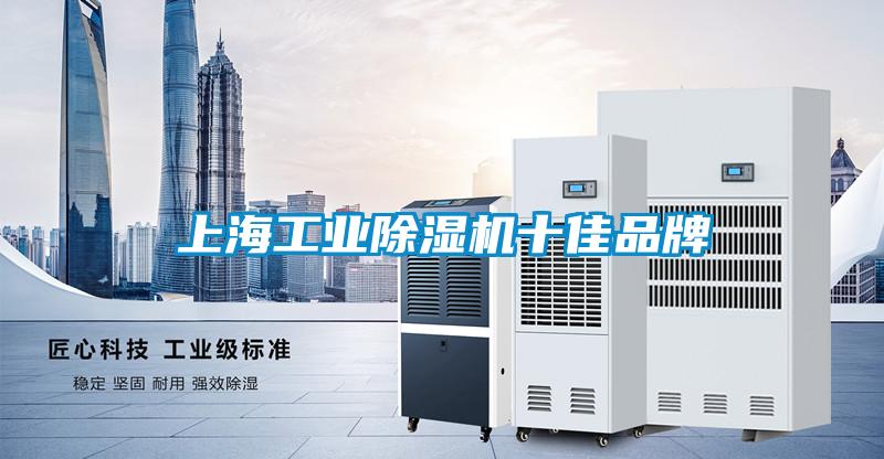 上海工業91视频链接下载十佳品牌