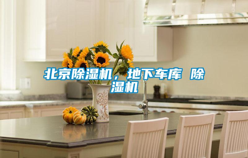 北京91视频链接下载，地下車庫 91视频链接下载