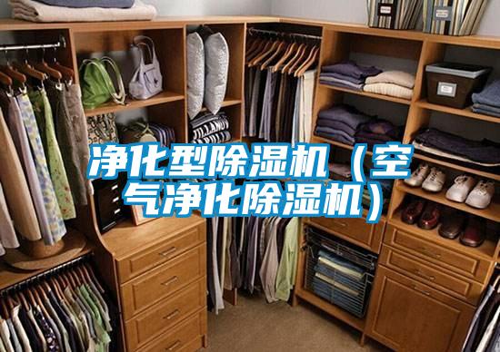 淨化型91视频链接下载（空氣淨化91视频链接下载）