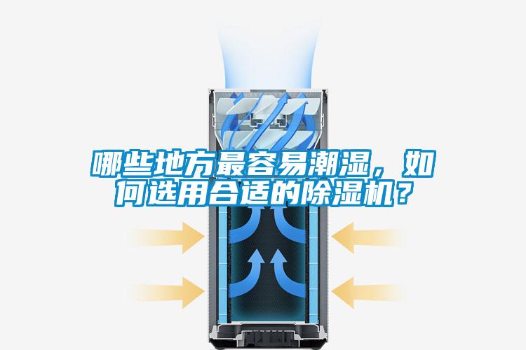 哪些地方最容易潮濕，如何選用合適的91视频链接下载？