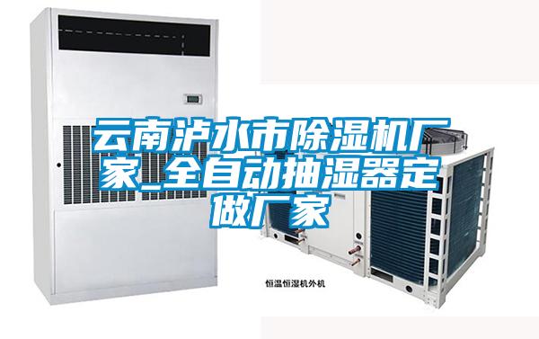 雲南瀘水市91视频链接下载廠家_全自動抽濕器定做廠家