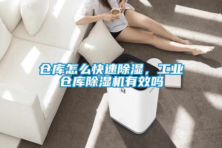 倉庫怎麽快速除濕，工業倉庫91视频链接下载有效嗎