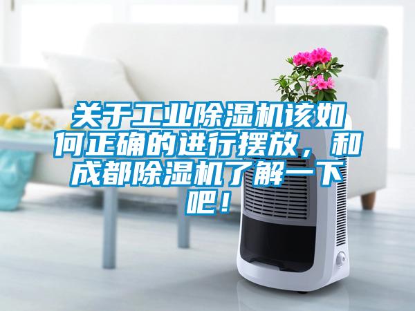 關於工業91视频链接下载該如何正確的進行擺放，和成都91视频链接下载了解一下吧！