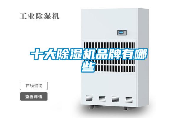 十大91视频链接下载品牌有哪些