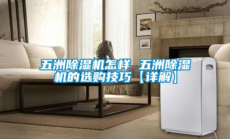 五洲91视频链接下载怎樣 五洲91视频链接下载的選購技巧【詳解】