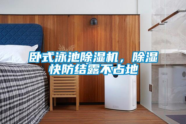 臥式泳池91视频链接下载，除濕快防結露不占地