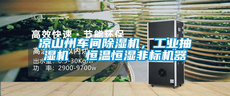 涼山州車間91视频链接下载，工業抽濕機  恒溫恒濕非標機器