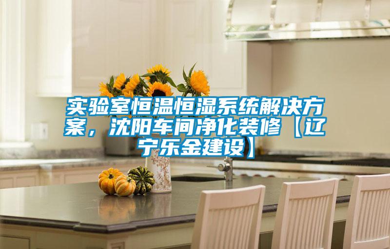 實驗室恒溫恒濕係統黄91视频免费看，沈陽車間淨化裝修【遼寧樂金建設】