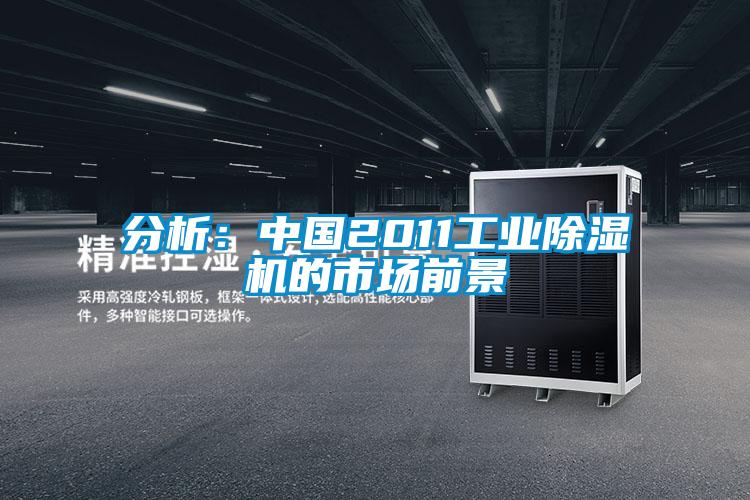 分析：中國2011工業91视频链接下载的市場前景