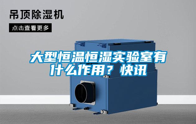 大型恒溫恒濕實驗室有什麽作用？快訊