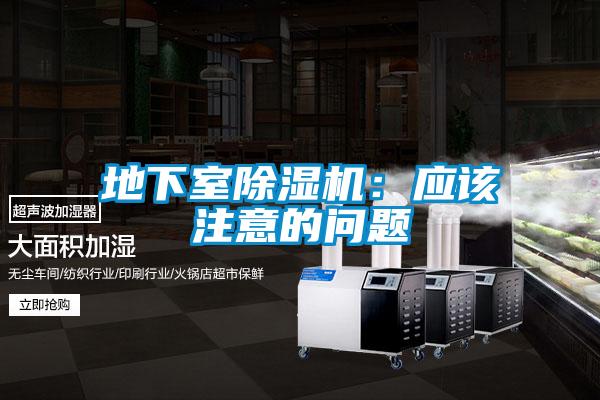 地下室91视频链接下载：應該注意的問題