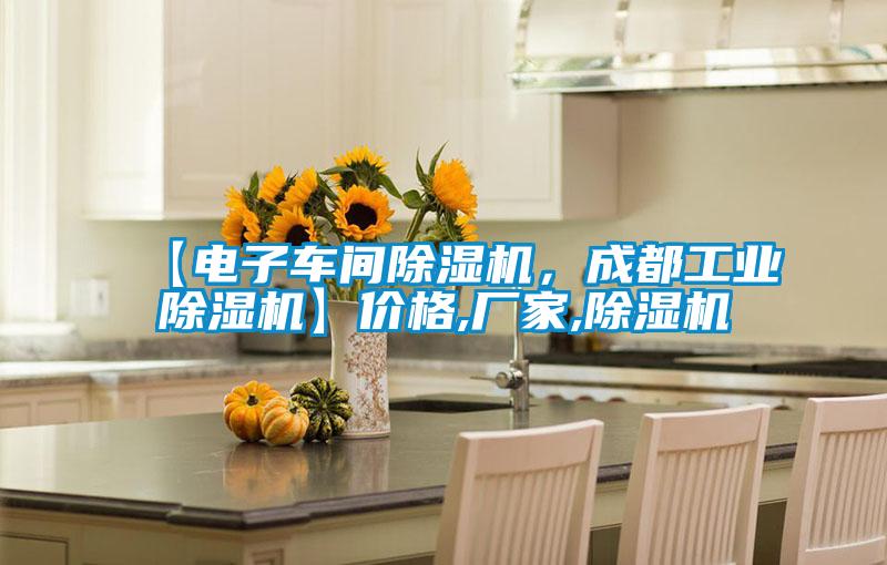 【電子車間91视频链接下载，成都工業91视频链接下载】價格,廠家,91视频链接下载