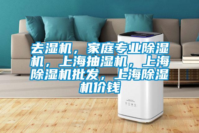 去濕機，家庭專業91视频链接下载，上海抽濕機，上海91视频链接下载批發，上海91视频链接下载價錢