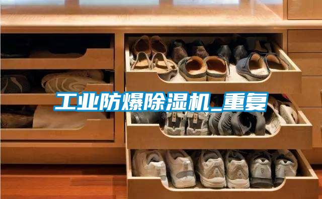 工業防爆91视频链接下载_重複