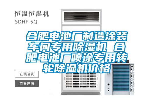 合肥電池廠製造塗裝車間專用91视频链接下载 合肥電池廠噴塗專用轉輪91视频链接下载價格