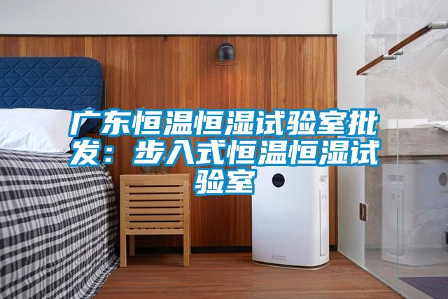 廣東恒溫恒濕試驗室批發：步入式恒溫恒濕試驗室