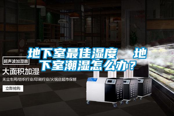 地下室最佳濕度  地下室潮濕怎麽辦？