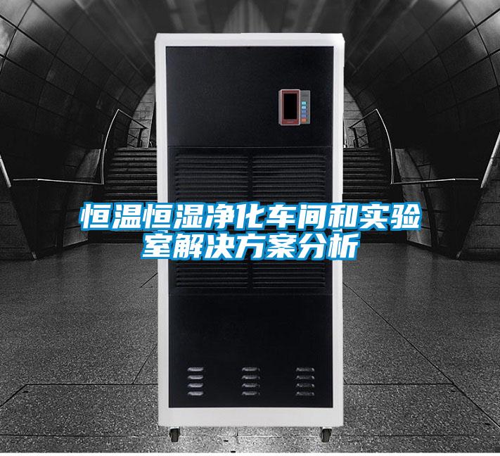 恒溫恒濕淨化車間和實驗室黄91视频免费看分析