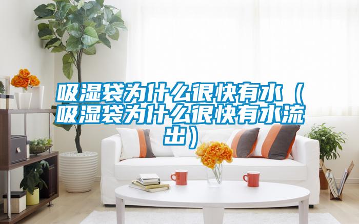 吸濕袋為什麽很快有水（吸濕袋為什麽很快有水流出）