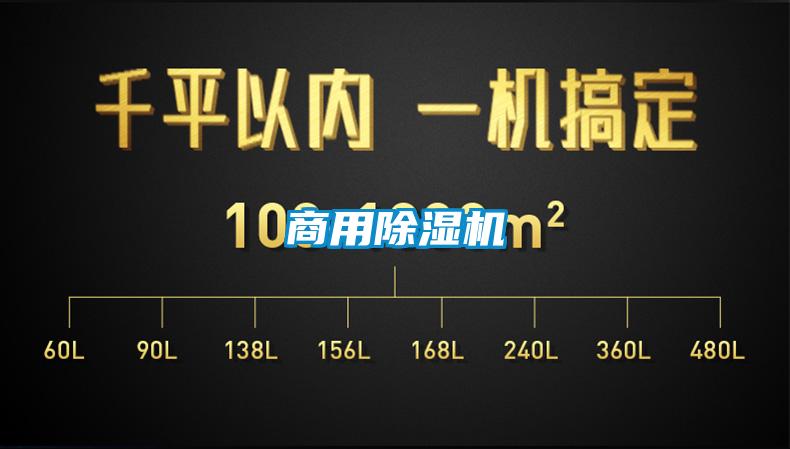 商用91视频链接下载