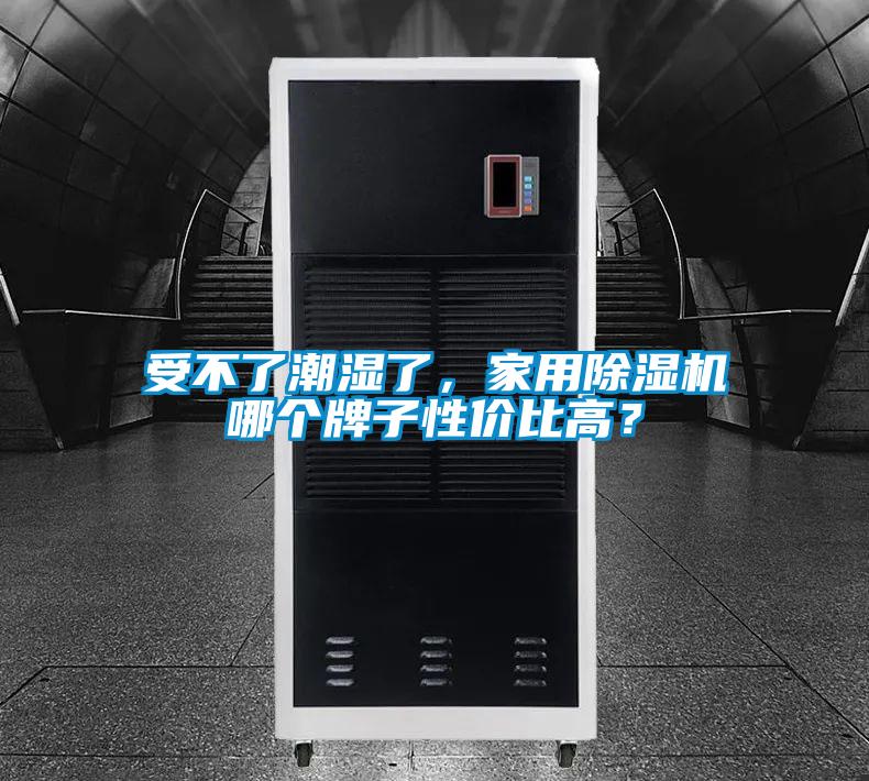 受不了潮濕了，家用91视频链接下载哪個牌子性價比高？