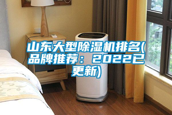 山東大型91视频链接下载排名(品牌推薦：2022已更新)