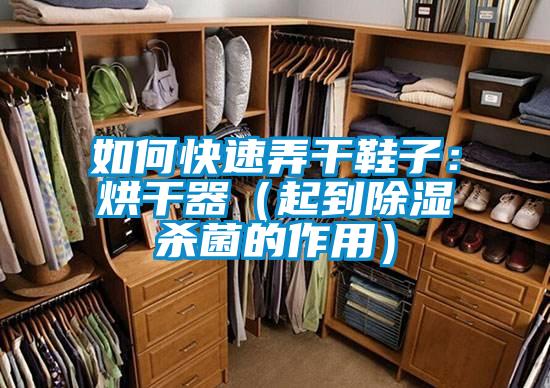 如何快速弄幹鞋子：烘幹器（起到除濕殺菌的作用）