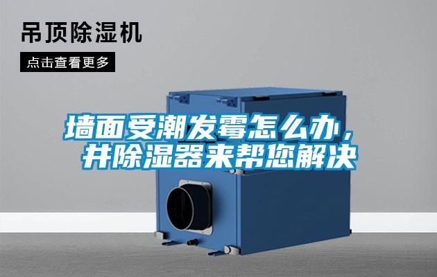 牆麵受潮發黴怎麽辦，東井除濕器來幫您解決