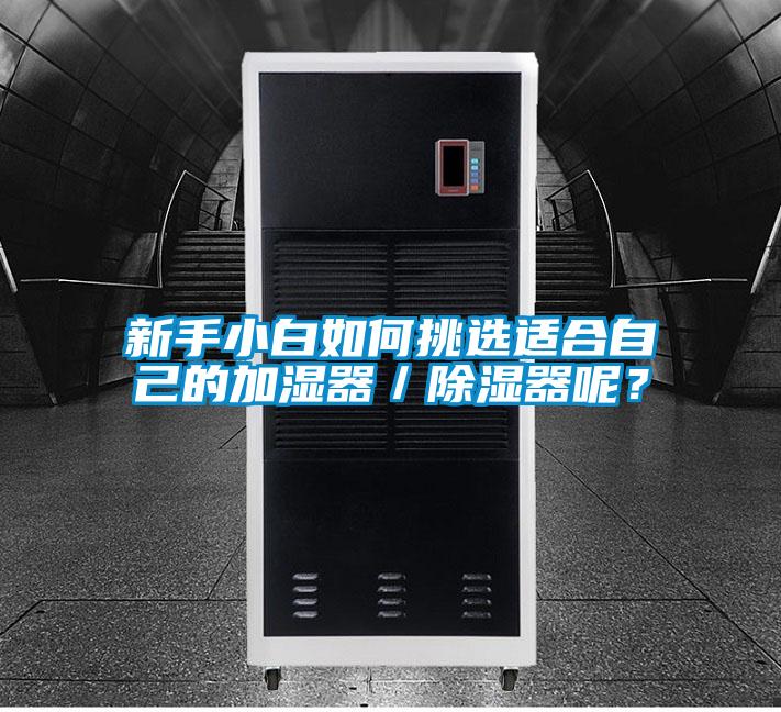 新手小白如何挑選適合自己的加濕器／除濕器呢？
