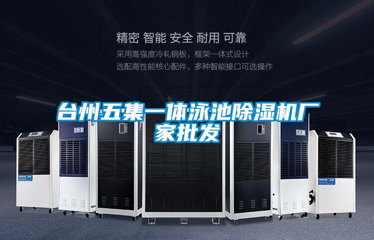 台州五集一體泳池91视频链接下载廠家批發