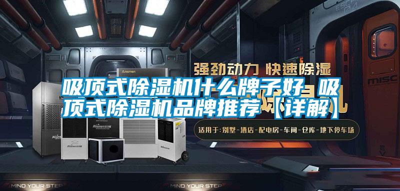 吸頂式91视频链接下载什麽牌子好 吸頂式91视频链接下载品牌推薦【詳解】