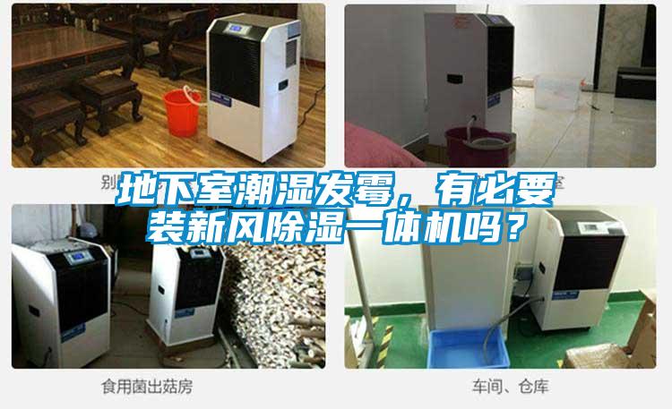 地下室潮濕發黴，有必要裝新風除濕一體機嗎？
