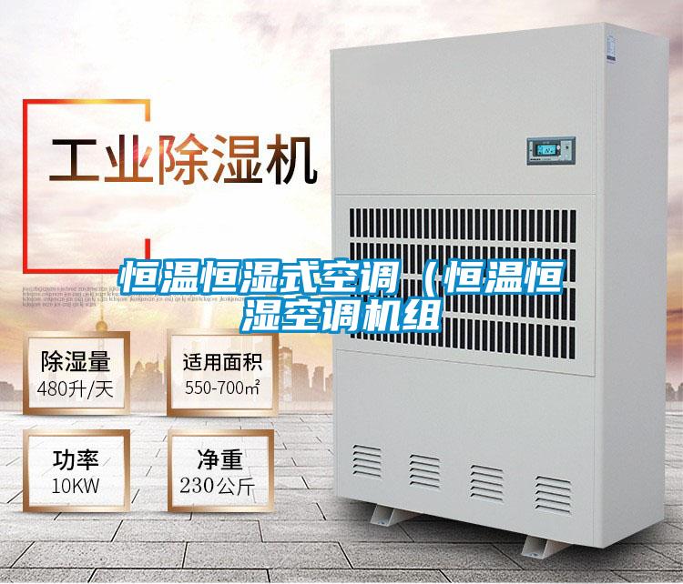 恒溫恒濕式空調（恒溫恒濕空調機組