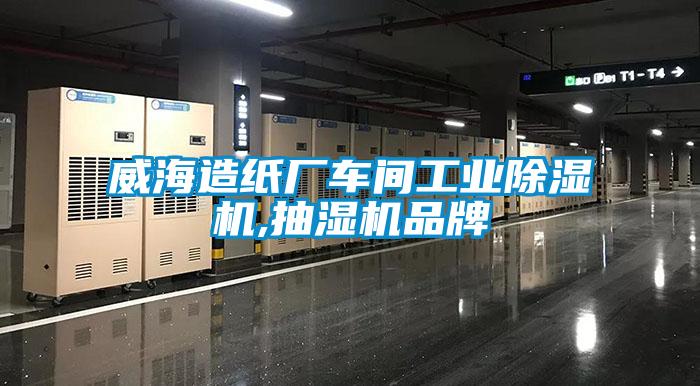 威海造紙廠車間工業91视频链接下载,抽濕機品牌