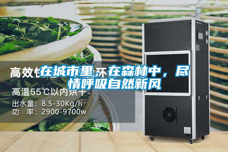 在城市裏，在森林中，盡情呼吸自然新風