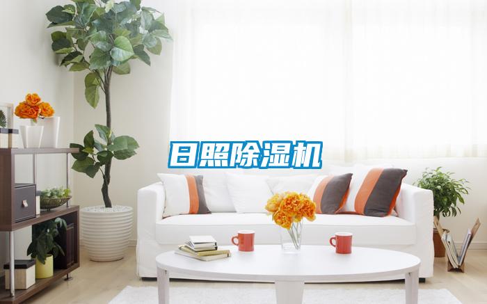 日照91视频链接下载