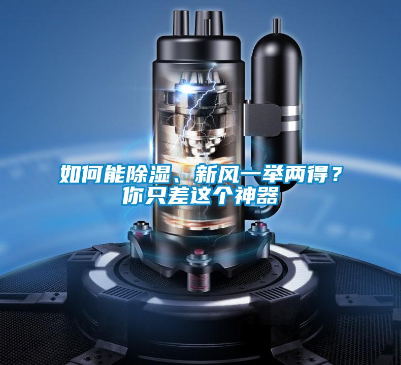 如何能除濕、新風一舉兩得？你隻差這個神器