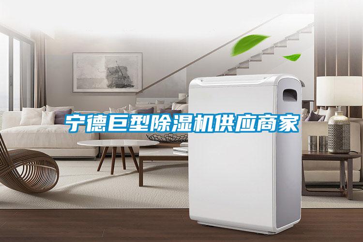 寧德巨型91视频链接下载供應商家