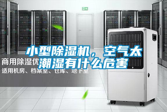 小型91视频链接下载，空氣太潮濕有什麽危害