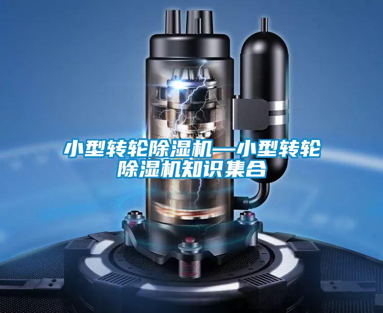 小型轉輪91视频链接下载—小型轉輪91视频链接下载知識集合