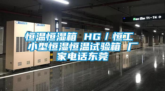 恒溫恒濕箱 HG/恒工 小型恒濕恒溫試驗箱 廠家電話東莞