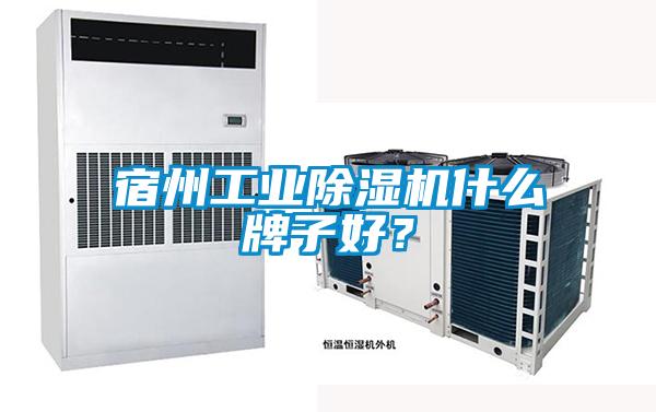 宿州工業91视频链接下载什麽牌子好？