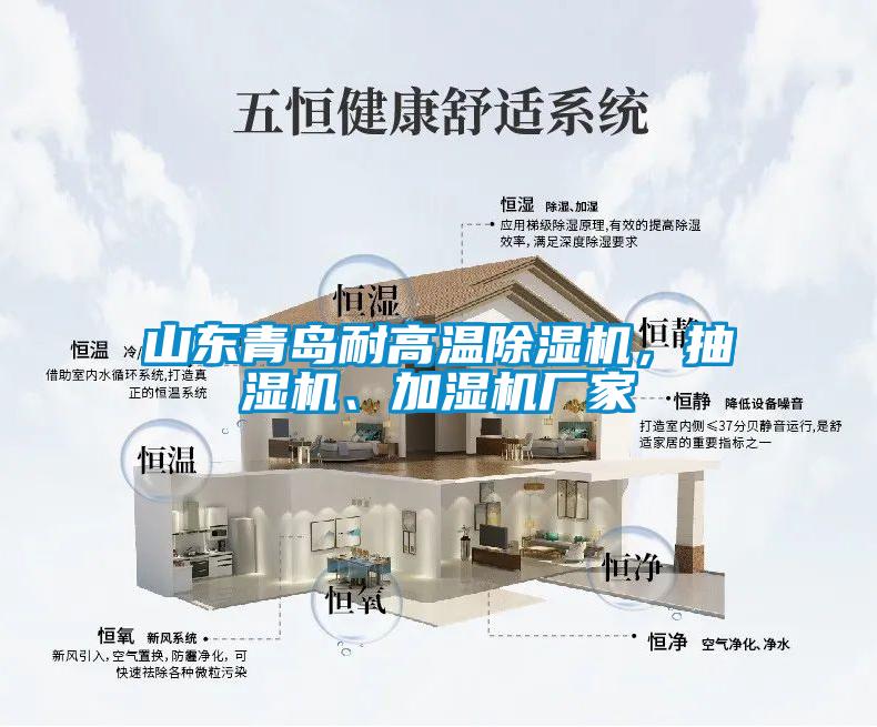 山東青島耐高溫91视频链接下载，抽濕機、加濕機廠家