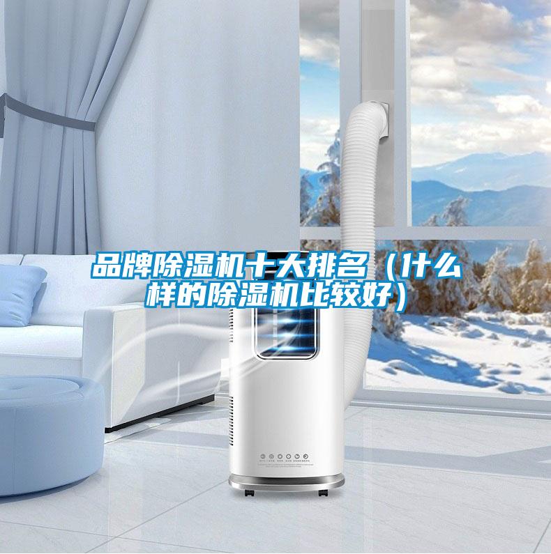 品牌91视频链接下载十大排名（什麽樣的91视频链接下载比較好）