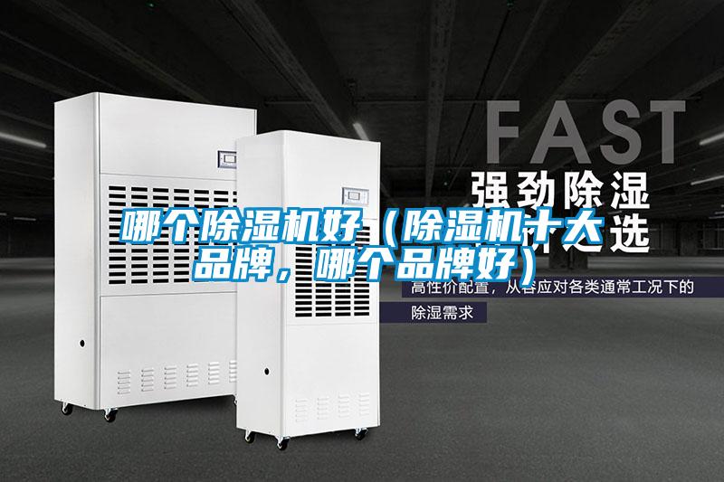 哪個91视频链接下载好（91视频链接下载十大品牌，哪個品牌好）